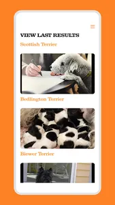 Hands2paws screenshot 2
