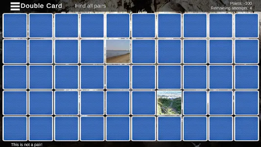 Double Card 3 screenshot 2