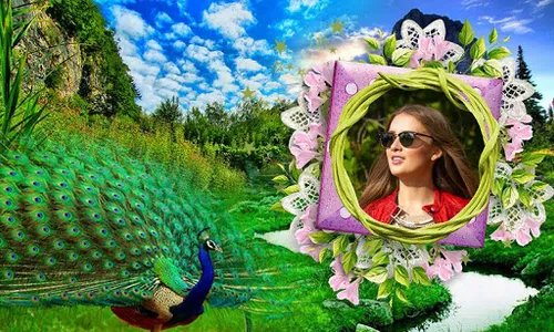 Peacock Photo Frames HD screenshot 1