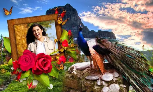 Peacock Photo Frames HD screenshot 3