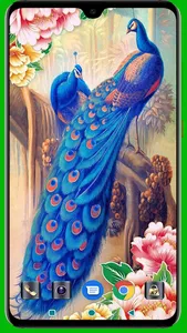Peacock HD Wallpaper screenshot 7