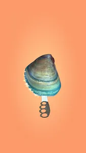 Pearl Master screenshot 6