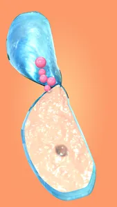 Pearl Master screenshot 7