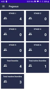 PEGASUS INC screenshot 2