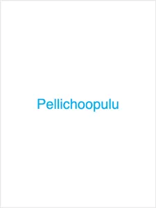 Pellichoopulu screenshot 6