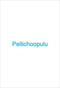 Pellichoopulu screenshot 8