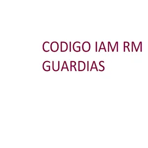CodigoIAM screenshot 0