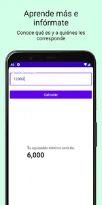 Aguinaldo Calculadora screenshot 2