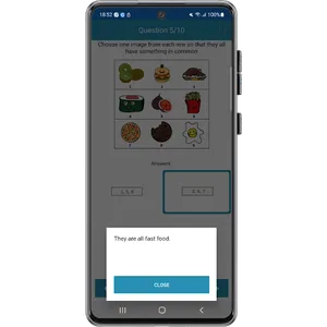 WISC-V Test Preparation Pro screenshot 2