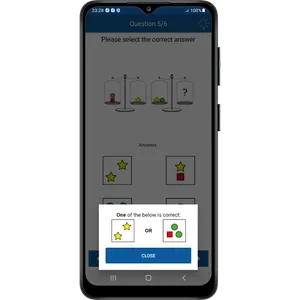 WISC-V Test Practice and Prep screenshot 4