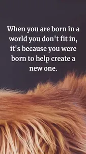 Motivation Quotes And Sayings screenshot 4