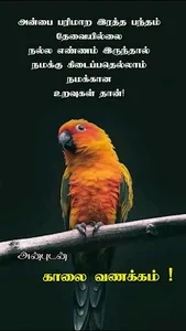 1000+Tamil Good Night Wishes screenshot 2