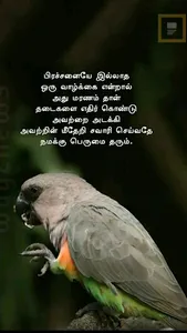 1000+Tamil Good Night Wishes screenshot 4