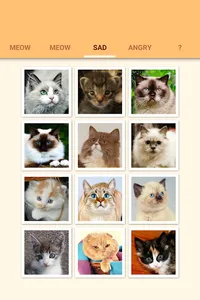 Cat Kitten Meow Sound Board screenshot 5