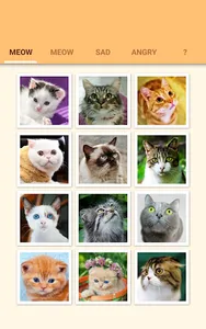 Cat Kitten Meow Sound Board screenshot 8