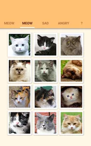 Cat Kitten Meow Sound Board screenshot 9