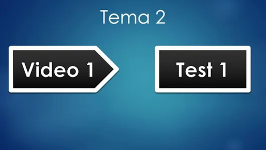 Permiso C Camion screenshot 0