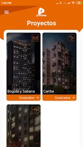 Prodesa screenshot 0