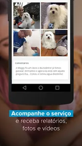 Pet Anjo - Serviços para Pets screenshot 2