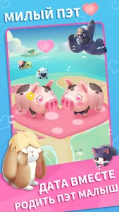 Пет Мастер: веселая игра с пет screenshot 1