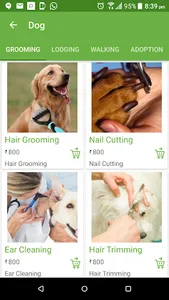 Petpapa screenshot 3