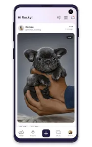 PetSocial screenshot 10