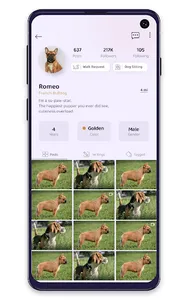 PetSocial screenshot 13