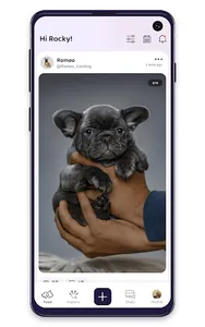 PetSocial screenshot 17