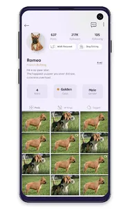PetSocial screenshot 19