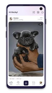 PetSocial screenshot 3