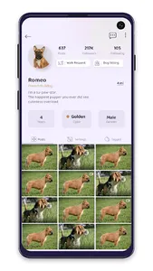 PetSocial screenshot 6
