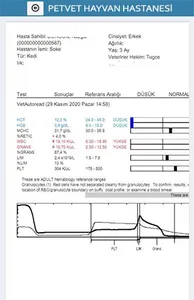 Petvet Hayvan Hastanesi screenshot 4