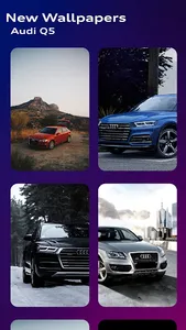 Audi Q5 Wallpapers screenshot 4