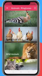 Animals Song: Ringtones screenshot 0