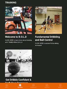 TWebbAffect B.O.L.D. screenshot 5