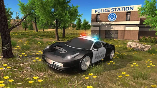 Police Car Driving Offroad screenshot 13