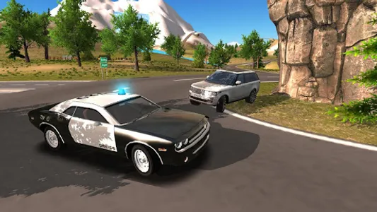 Police Car Driving Offroad screenshot 14