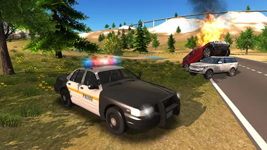 Police Car Driving Offroad screenshot 15