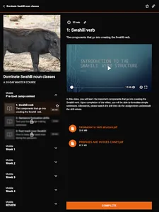 LSN: SWAHILI FOR HOAMIs screenshot 11