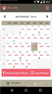 Pig1000 screenshot 0