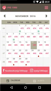 Pig1000 screenshot 3