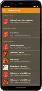 Shreem Brzee screenshot 0
