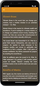 Shreem Brzee screenshot 2