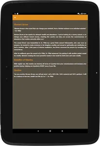 Shreem Brzee screenshot 8