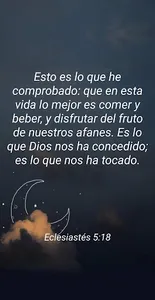 Versículos al azar screenshot 4