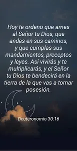 Versículos al azar screenshot 9