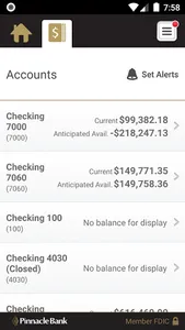 Pinnacle Bank Mobile Business screenshot 3