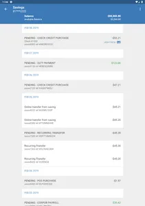 Pioneer Community Bank screenshot 13