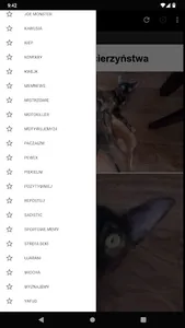Obrazkowo screenshot 5