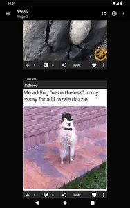 Obrazkowo screenshot 6